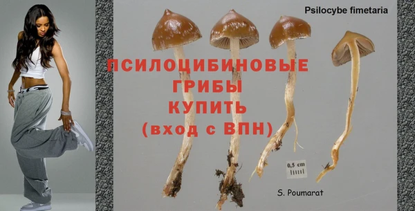 кокаин колумбия Богородск