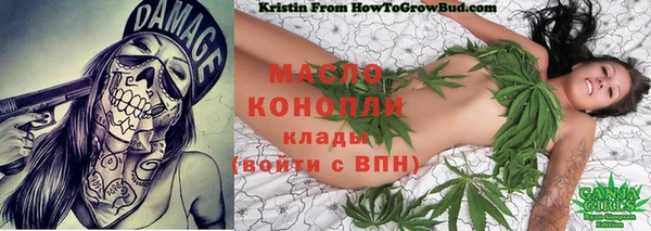 гашиш Богданович