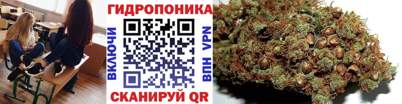 Купить  Евпатория  Бошки Шишки SATIVA & INDICA 